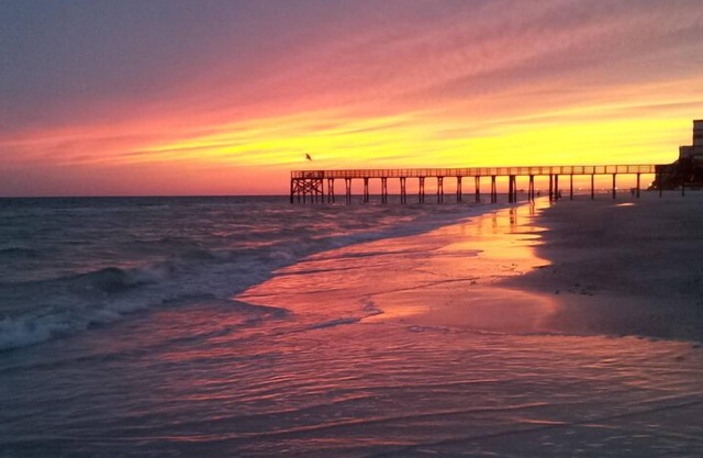 Beautiful Condo on Miles of White Sand Beach. Watch Dolphins from your bedroom!