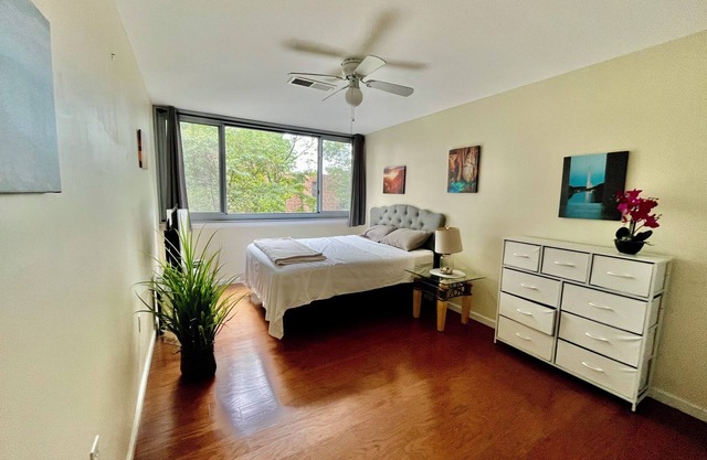 “Beautiful, Cozy & Lot of Natural Light Condo!”