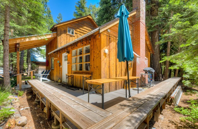 Beautiful family and dog-friendly cabin with gas fireplace, puzzles & games