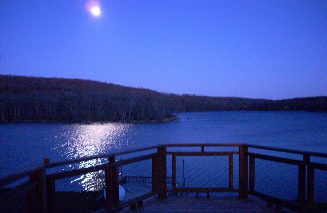 Beautiful Full-Size Private Lakefront Gated Home with dock/boats
