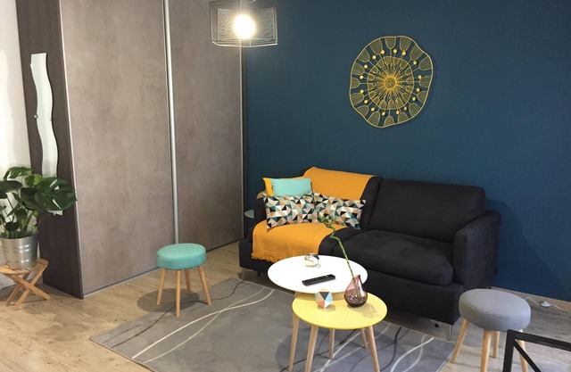 Beautiful furnished studio BAYONNE Marracq