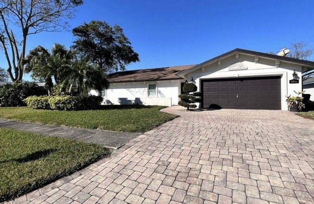 Beautiful house in Tampa Florida