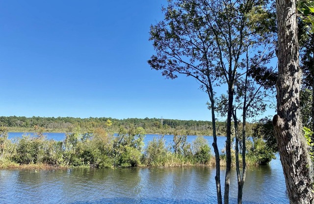 Beautiful newly renovated waterfront home