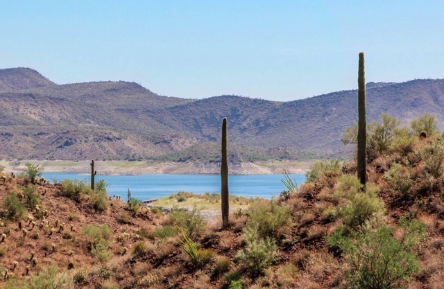 ☀️Beautiful, Private and Serene Arizona Fun in the Sun Casita!