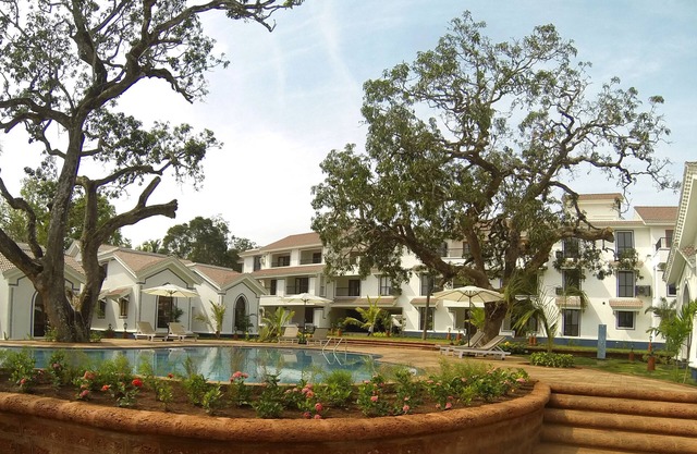Beautiful/Spacious 1 BHK Apartment for Rent in Siolim, Goa for Long Term Rentals