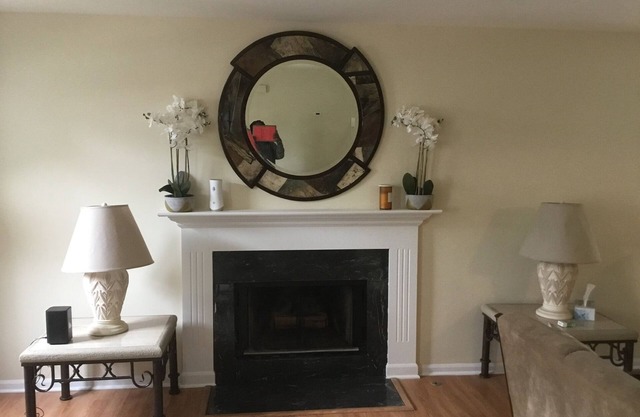Beautiful townhome 45 mins from Chicago