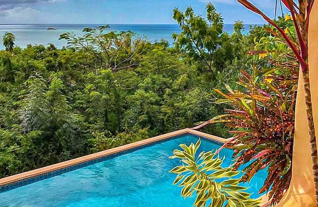 Beautiful villa with a large, well maintained Private Pool