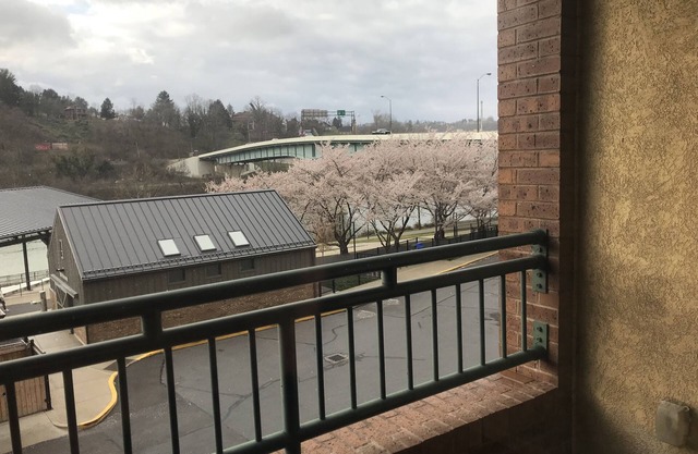 Beautifully appointed one bedroom condo on Mon River in Morgantown, WV