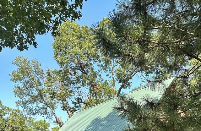 Becker's Bungalow on Monkey Island with outdoor deck! Pet & family friendly!