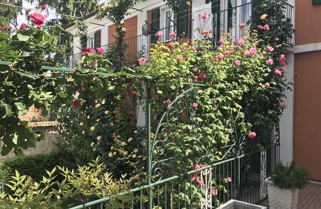 Bed and Roses "Meni"