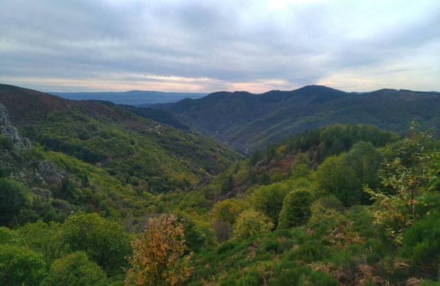 Belle Maison au Cœur de la Nature