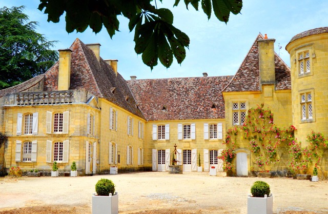 Bergerac/Sarlat, Historical Château, 247acres, amazing view, very quiet 10people