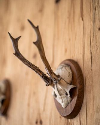 bergfried - Designwohnung mit Weitblick