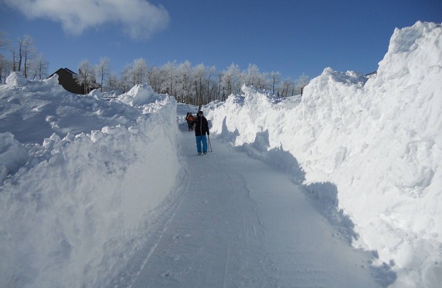 Best Deal! 3BR/3BA Ski-in/out At Powder Mountain - Rare Slopeside Accommodation