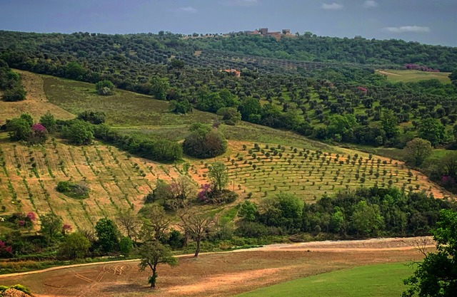 Between the sea of Argentario, the thermal baths of Saturnia and the park of Maremma