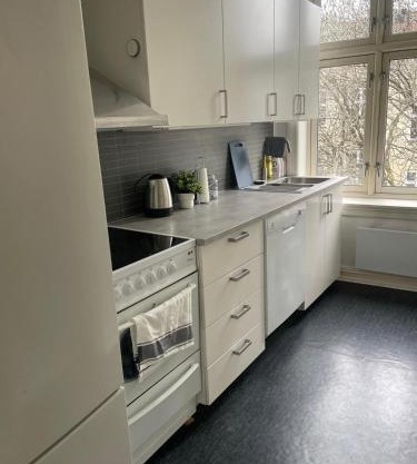 Big and Nice apartment in Oslo City center