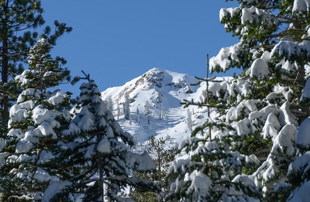 Big John at Alpine Meadows by Tahoe Getaways - Mountain Views, Cozy Fireplace, Shuttle to Slopes!