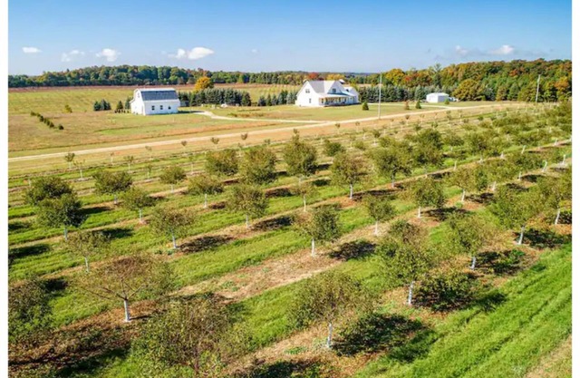 Birds Nest: Farm Stay with orchard views.
