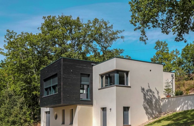 Black and White House