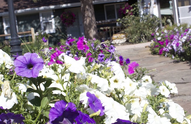 Black Elk Resort Cottages and RV Park