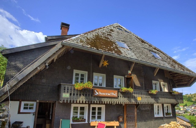 Black Forest Chalet with sauna & fireplace 300sqm, 24 persons, ski slope/edge of forest