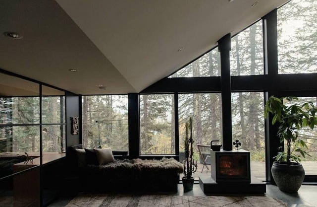 Black House in the Forest near Nelson