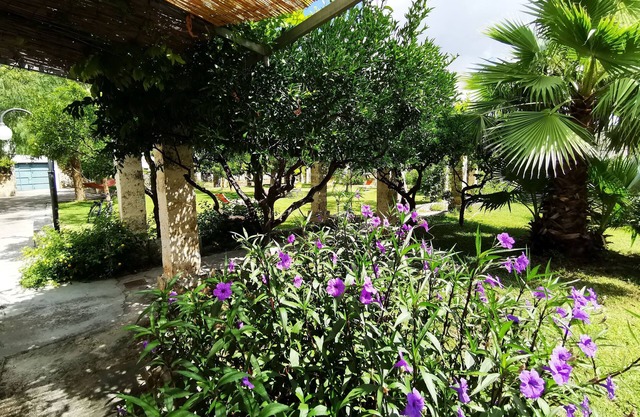 Blue Apartment in Villa AlSalento. All comforts, quiet private bathroom