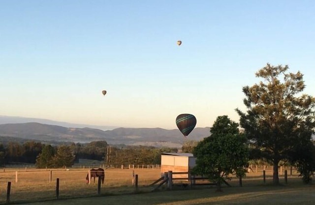 Bob's Balcony Lovedale