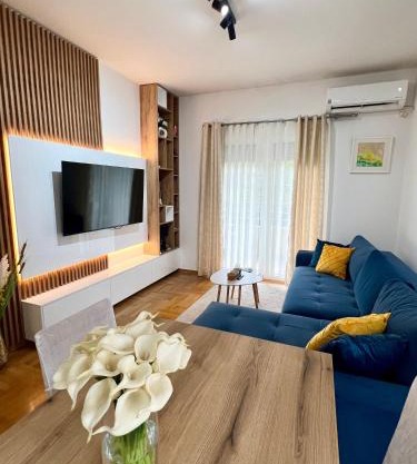 Bojovic's Apartment