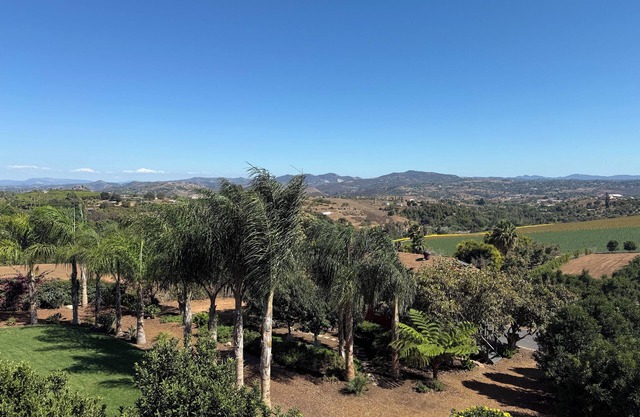 Bonsall-Oceanside Farm-stay Treehouse Studio