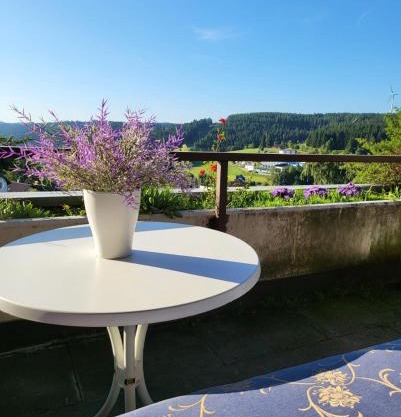 book-3days-get-1day-free! Balcony-Apartment in Schonach center