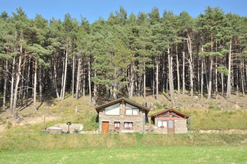 Borda Cucut-HUT4-08181