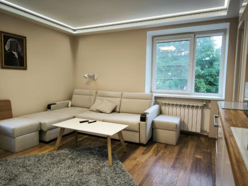 Border studio Aleksandri