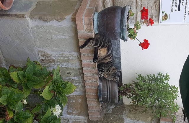 Borgo la Fratta holiday home apartment 1