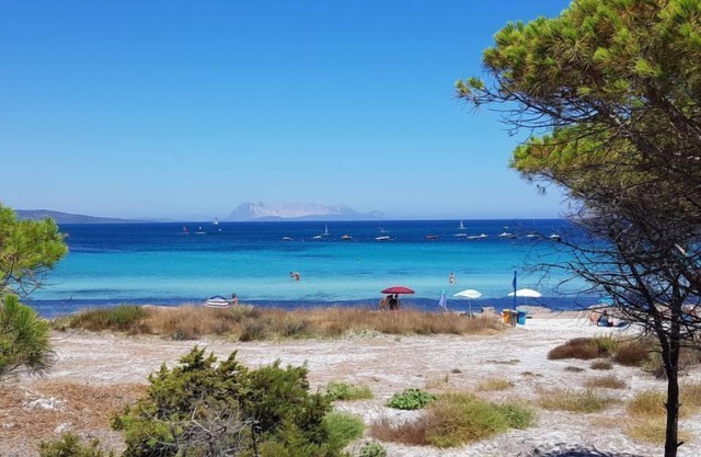 Borgo Le Logge bilo (BUD110) by Interhome