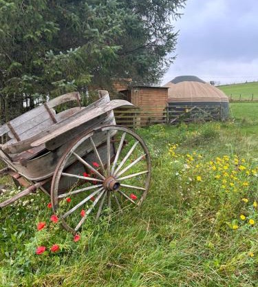 Bracken Barns Glamping & Massage