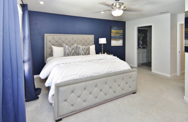 BRAND NEW TAMPA OASIS