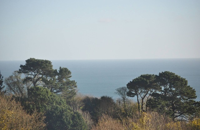 Breathtaking Sea Views, Private Outdoor Terrace, free WiFi, Dartmouth nearby