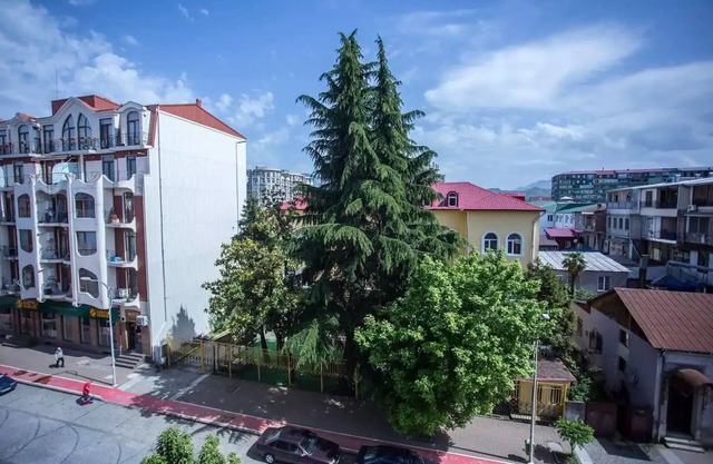 Bright and airy apartment N8B