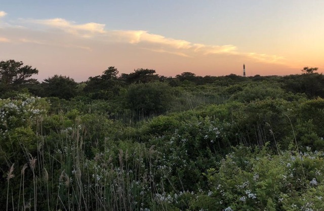 Bright, Cozy Bungalow With Lighthouse Views, Two Minutes Away from the Beach