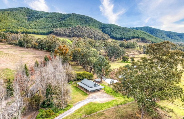 Bright Homestead - A Tranquil Escape