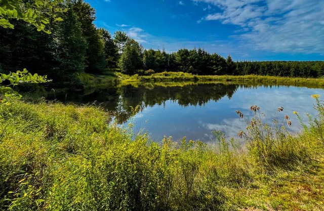 Bucolic 3BR home with Guest Cabin and Pond on 20+ Acres of Sublime Privacy