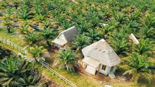 Bugoma Palms Resort Sand Beach