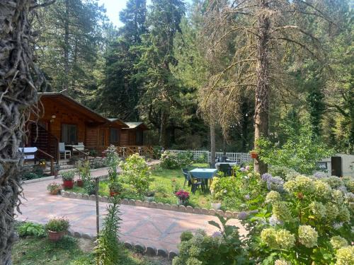 Bujtina Uji I Panjes, LLOGARA