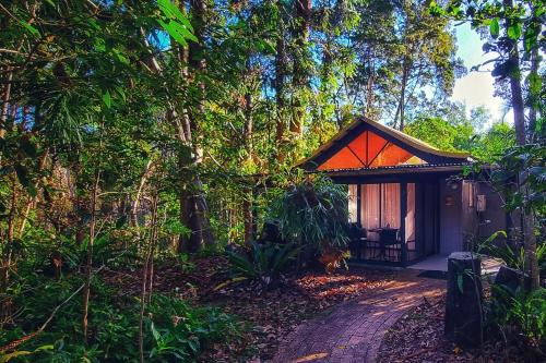 Byron Bay Rainforest Resort