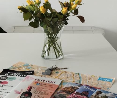 Cédrus Liget Apartman - Szeged