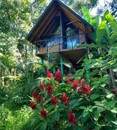 Cabana com Cachoeira Privativa
