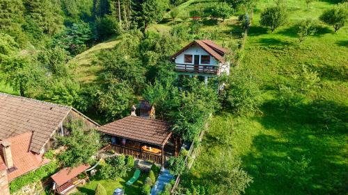 Cabana Vânătorilor