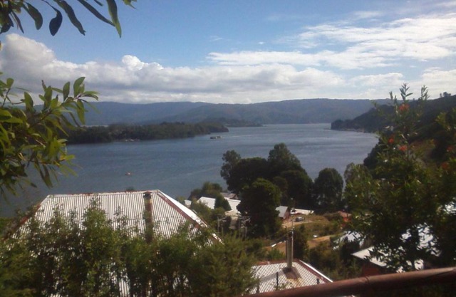 Cabanas Valdivia - Tres Espinos - camino a Niebla