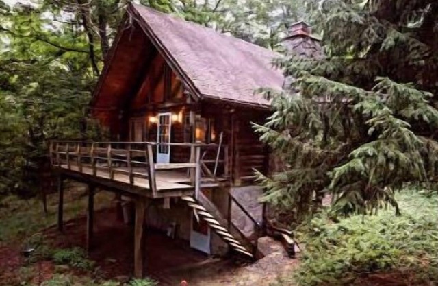 Cabin in the Woods 🌳🪵